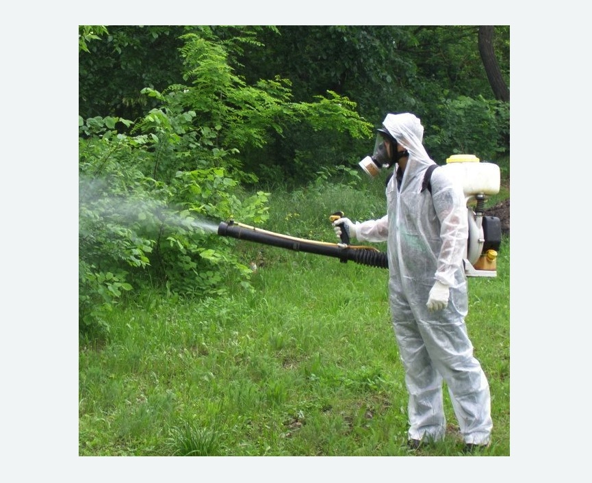 обработка территории от клещей в Боровске