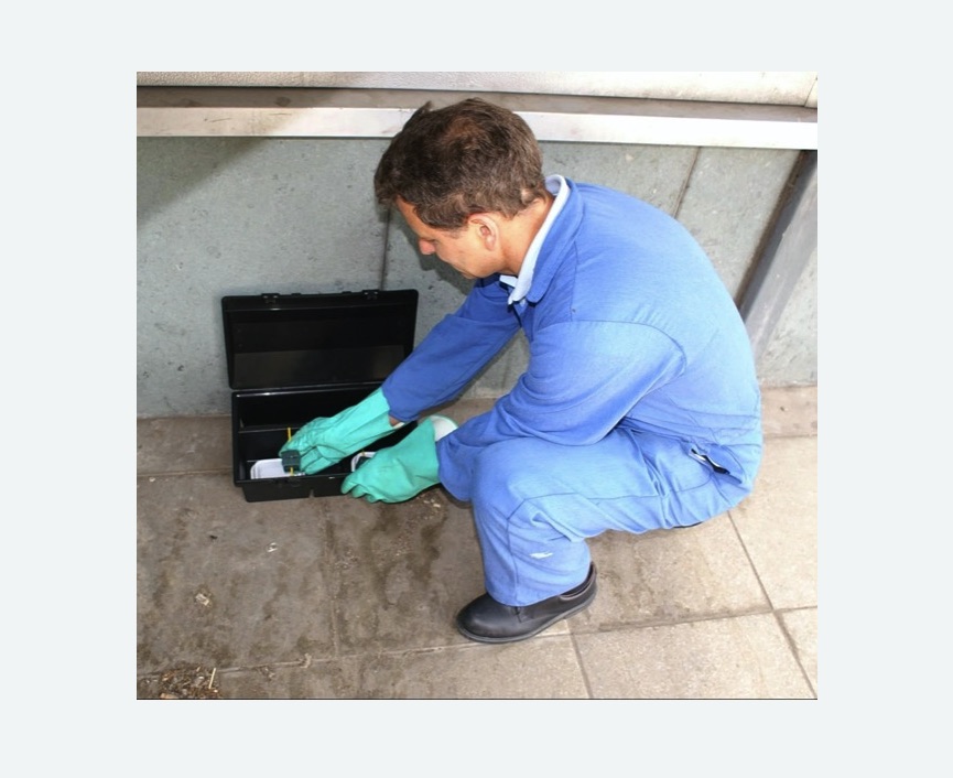 Уничтожение мышей в Боровске Уничтожение мышей