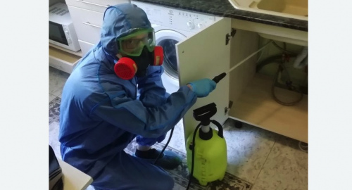 Уничтожение муравьев в квартире. Боровск