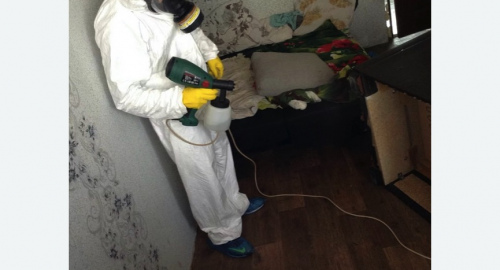 Обработка квартир от насекомых в Боровске