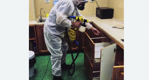 Дезинсекция квартиры. Боровск