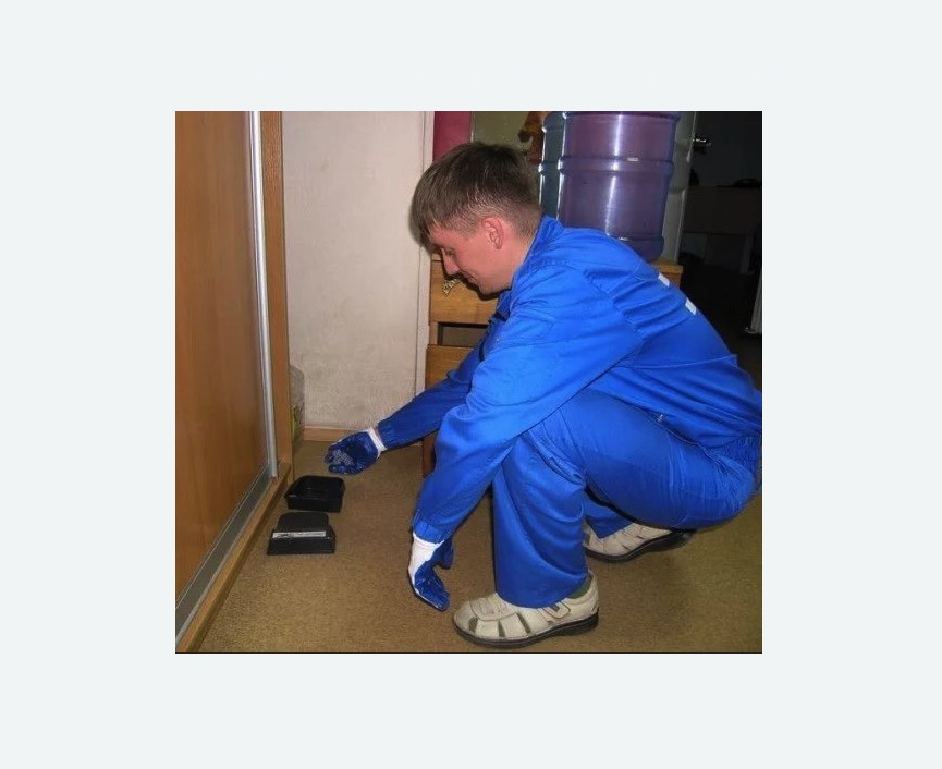 Дератизация крыс Дератизация крыс в Боровске