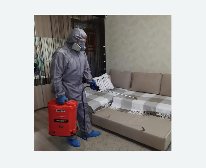 Обработка квартиры от блох в Боровске Обработка квартиры от блох