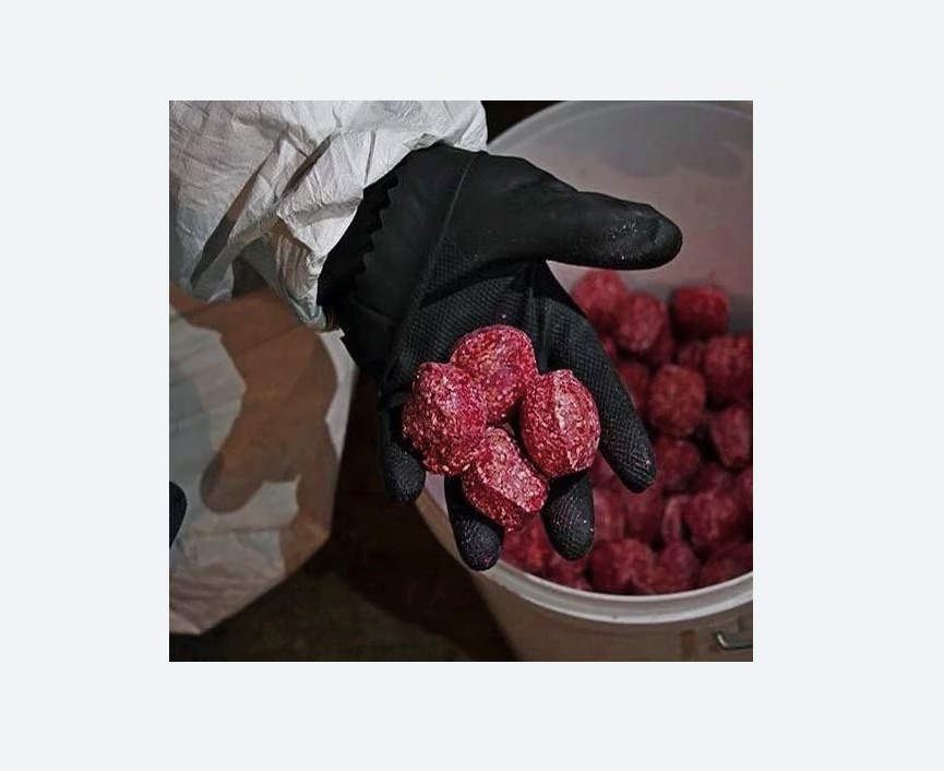 Обработка от крыс Обработка от крыс в Боровске