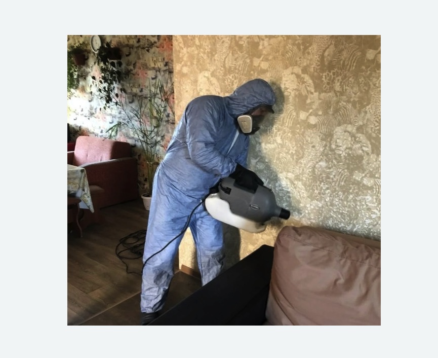 Уничтожение блох в квартире. Боровск Уничтожение блох в квартире