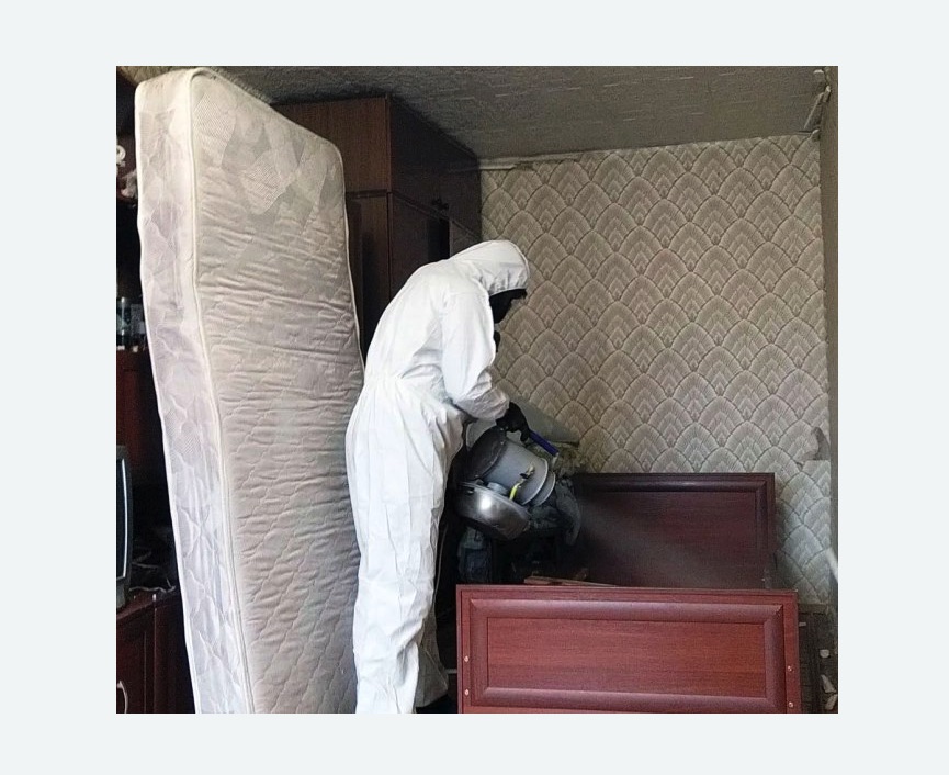 дезинфекция от клопов в Боровске