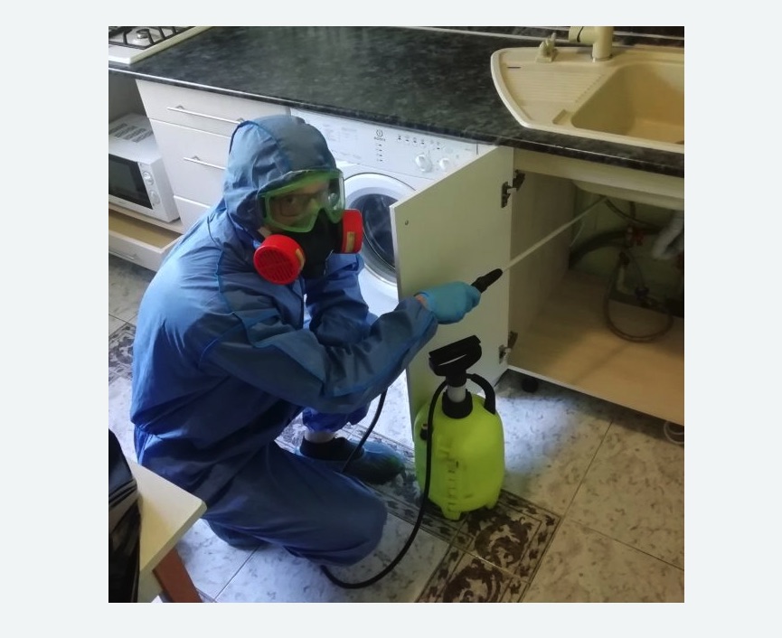 обработка от муравьев в квартире в Боровске