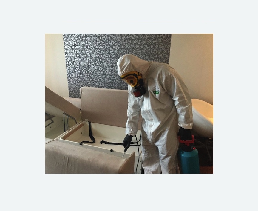 уничтожение клопов в квартире в Боровске