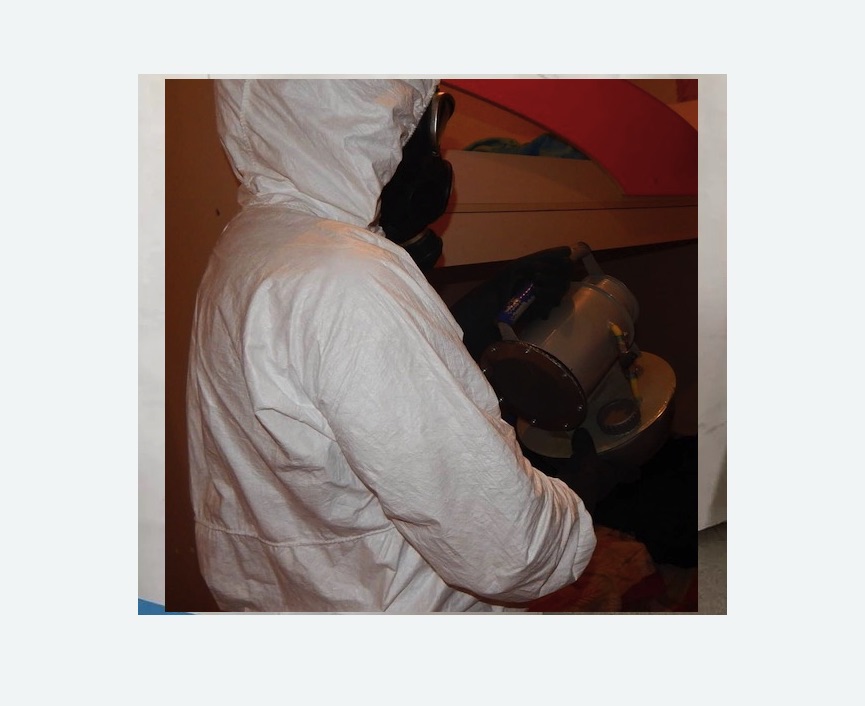 Дезинфекция от муравьев в Боровске